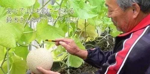 各种娱乐吃瓜图